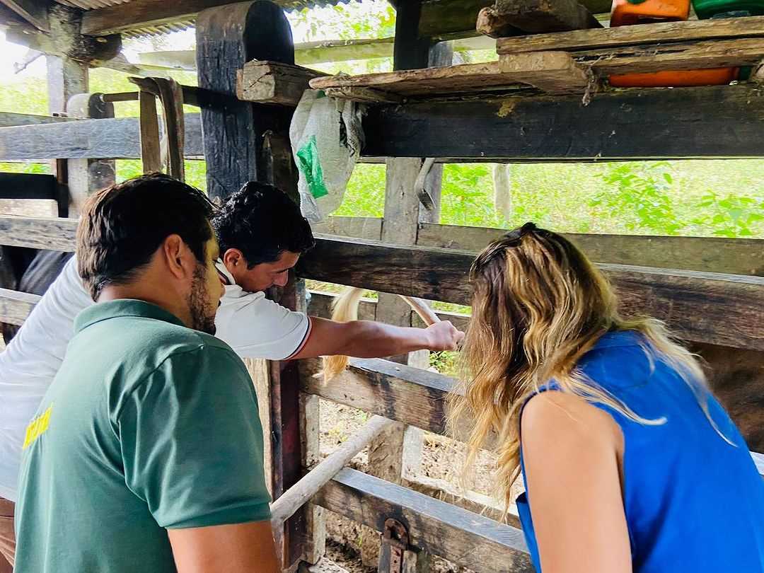 Camacã: Programa Mais Pecuária Brasil atende mais pecuaristas